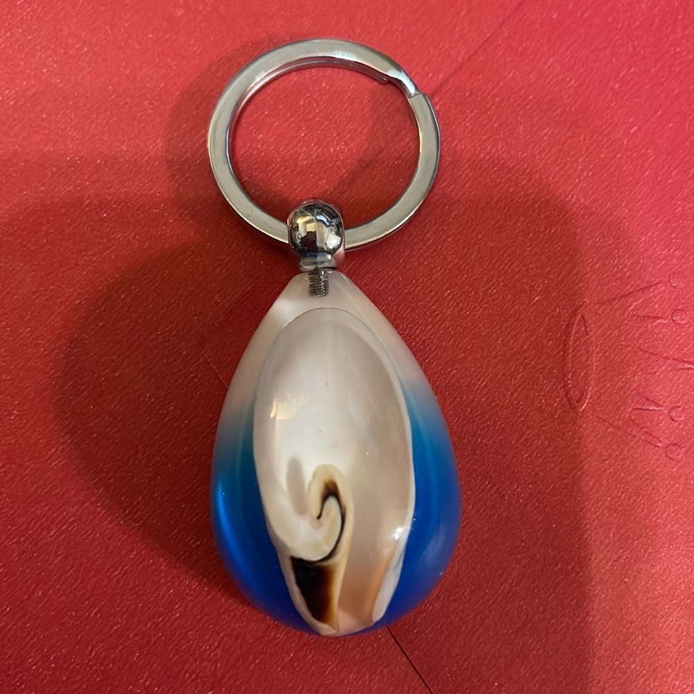 Resin Key Chain